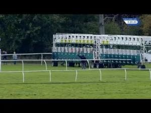 Video preview image for Newbury 15:20 - Worthington's Alzheimer's Society Handicap (2)