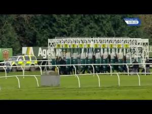 Video preview image for Newbury 17:05 - Worthington's 'Victoria Club' Lady Jockeys' Handicap (Lady Amateur Riders) (5)