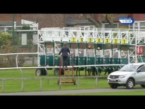 Video preview image for Redcar 13:05 - European Breeders' Fund EBF Double Trigger Novice Stakes (5)