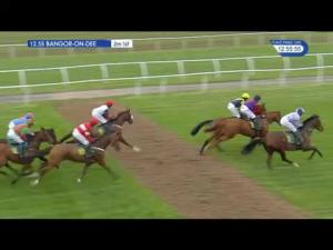 Video preview image for Bangor-On-Dee 12:55 - H.N. Nuttall Ltd Novices' Hurdle (4)