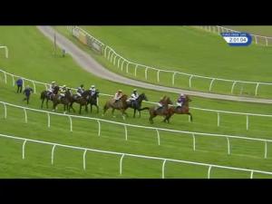 Video preview image for Bangor-On-Dee 14:00 - Order Timeform Jumps Horses To Follow Handicap Hurdle (4)