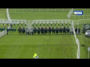 Video preview image for Catterick Bridge 16:20 - Jump Season Next Handicap (6)