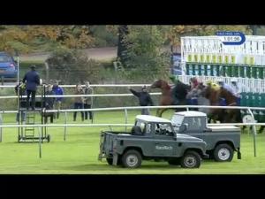 Video preview image for Nottingham 13:00 - EBF Stallions Golden Horn Maiden Stakes (4) (Div 2)