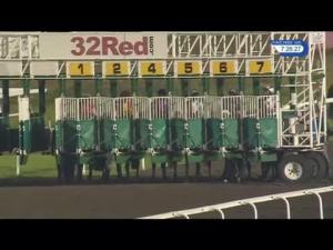 Video preview image for Kempton Park 19:25 - 32Red Handicap (3)