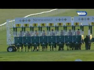 Video preview image for Newmarket 15:30 - Wingate Signs Supports #superjosh Charity Handicap (3)