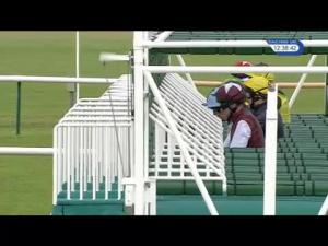Video preview image for Newmarket 12:35 - Prestige Classics EBF Fillies' Novice Stakes (4) (Div 2)