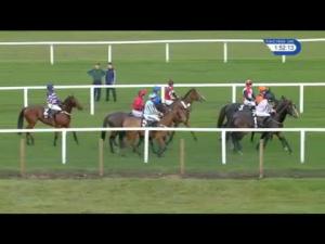 Video preview image for Ascot 13:50 - Ascot Underwriting Chase (Novices' Limited Handicap) (3)