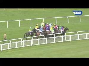 Video preview image for Ascot 15:35 - Sodexo Gold Cup Handicap Chase (Grade 3) (1)