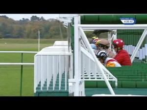 Video preview image for Newmarket 16:00 - Imp Graphics Handicap (4)