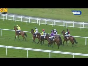 Video preview image for Ascot 16:05 - Thames Materials Standard Open National Hunt Flat (4)