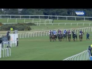 Video preview image for Musselburgh 12:30 - Border Safeguard Handicap Hurdle (5) (Div 1)