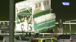 Video preview image for Kempton Park 19:50 - Roa/Racing Post Owners' Jackpot Handicap (Qualifier) (4)