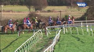 Video preview image for Taunton 14:40 - C&S Electrical Wholesale Ansell Lighting British EBF Mares' 'National Hunt' Novices' Hurdle (4)