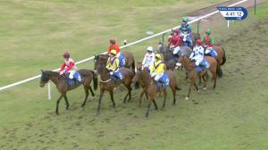 Video preview image for Ludlow 16:40 - Jenkinsons Caterers Chase (Novices' Limited Handicap) (4)