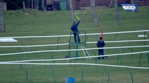 Video preview image for Ayr 17:30 - Wise Betting At racinguk.com Standard National Hunt Flat (Conditional Jockeys' and Amateur Riders) (5)