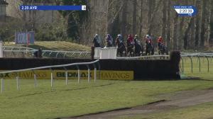 Video preview image for Ayr 14:20 - Toteexacta Handicap Hurdle (4)