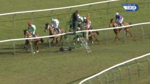 Video preview image for Ayr 15:25 - Tote Trifecta Handicap Hurdle (Qualifier) (4)
