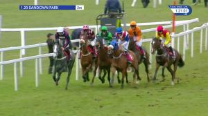 Video preview image for Sandown Park 13:20 - Matchbook Betting Exchange Juvenile Handicap Hurdle (3)