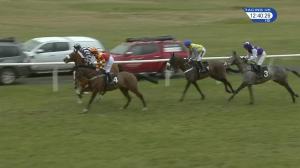 Video preview image for Musselburgh 12:40 - 188Bet Noel Fehily Gold Cup Blog Chase (Novices' Limited Handicap)
