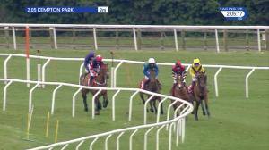 Video preview image for Kempton Park 14:05 - Matchbook Vip Chase (Novices' Limited Handicap) (3)