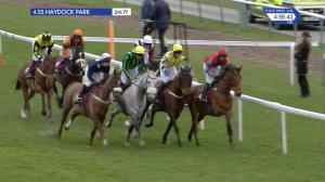 Video preview image for Haydock Park 16:55 - Howdens Joinery Handicap Hurdle (Qualifier) (4)