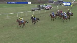 Video preview image for Ludlow 17:50 - G C Rickards Standard Open National Hunt Flat (4)