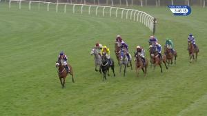 Video preview image for Wincanton 15:45 - Royal Bath & West Show Society Novices' Handicap Hurdle (4)