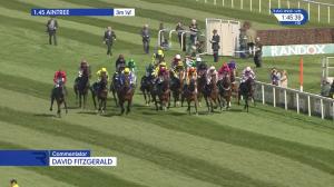 Video preview image for Aintree 13:45 - Gaskells Handicap Hurdle (Grade 3) (1)