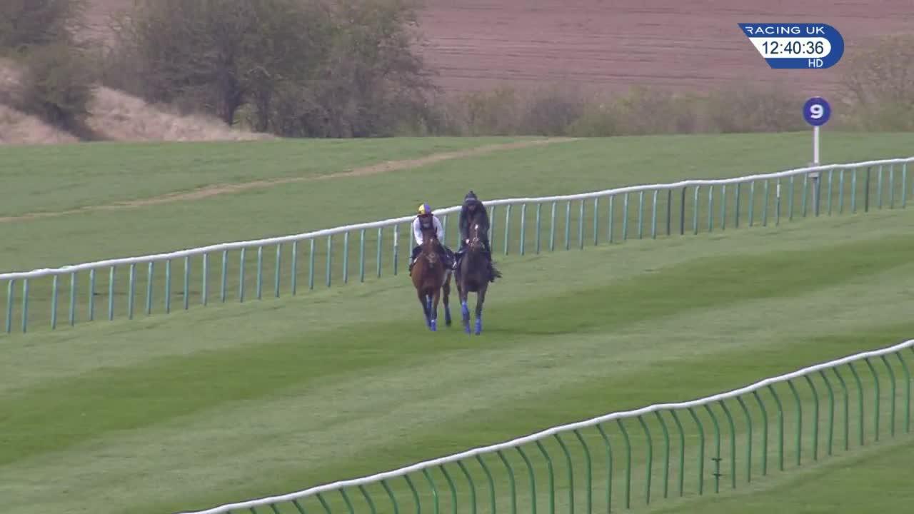 Cracksman Primed For French Mission After Newmarket Gallop