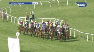 Video preview image for Cheltenham 17:35 - Spreadex Sports Betting Mares' Standard Open National Hunt Flat (2)
