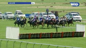 Video preview image for Ayr 14:20 - Dawn Homes Novices' Championship Handicap Chase (2)