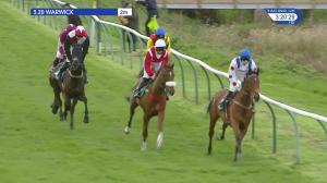 Video preview image for Warwick 15:20 - Ubs Wealth Management Novices' Handicap Chase (2)