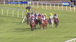 Video preview image for Kempton Park 17:15 - Eco Green Roofs Novices' Hurdle (4)