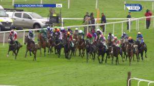 Video preview image for Sandown Park 13:50 - Bet365 Novices' Championship Final Handicap Hurdle (2)
