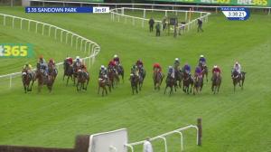 Video preview image for Sandown Park 15:35 - Bet365 Gold Cup Handicap Chase (Grade 3) (1)