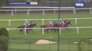 Video preview image for Sandown Park 16:05 - Bet365 Select Hurdle (Grade 2) (1)
