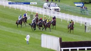 Video preview image for Cheltenham 19:15 - Visit cheltenham.com Mares' Open Hunters' Chase (4)