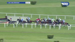 Video preview image for Cheltenham 19:50 - Cheltenham Club Open Hunters' Chase (4)