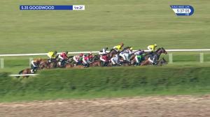 Video preview image for Goodwood 17:35 - Matchbook Casino Handicap (5)
