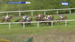 Video preview image for Hamilton Park 16:20 - totesport.com Cashback Club Maiden Stakes (5)
