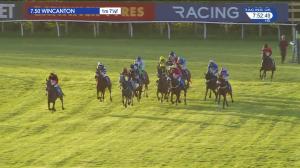 Video preview image for Wincanton 19:50 - Wiser Betting At racinguk.com Maiden Hurdle (5)