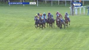 Video preview image for Wincanton 20:20 - 100% Racing UK Profits Back To Racing Conditional Jockeys' Mares' Handicap Hurdle (5)