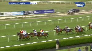 Video preview image for Market Rasen 16:55 - Roa/Racing Post Owners' Jackpot Handicap Chase (5)