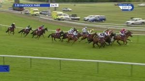 Video preview image for Haydock Park 14:00 - Pertemps Network Long Distance Handicap Hurdle (2)