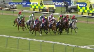 Video preview image for Haydock Park 15:10 - Pertemps Network Swinton Handicap Hurdle (Grade 3) (1)