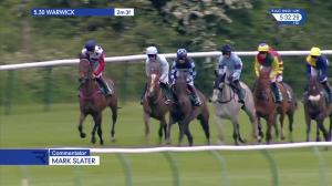 Video preview image for Warwick 17:30 - Lawton Tubes Novices' Hurdle (4)
