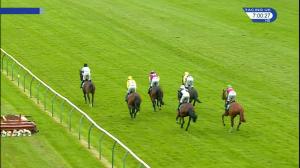 Video preview image for Warwick 19:00 - Ardencote Destination Spa Mares' Novices' Chase (4)