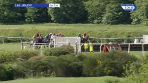 Video preview image for Ludlow 15:05 - Welsh Guards Association Handicap Hurdle (4)