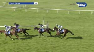 Video preview image for Ludlow 17:10 - Ann Esp Memorial 'Newcomers' Standard Open National Hunt Flat (4)