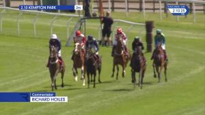 Video preview image for Kempton Park 14:10 - Matchbook Betting Exchange Novices' Hurdle (4)